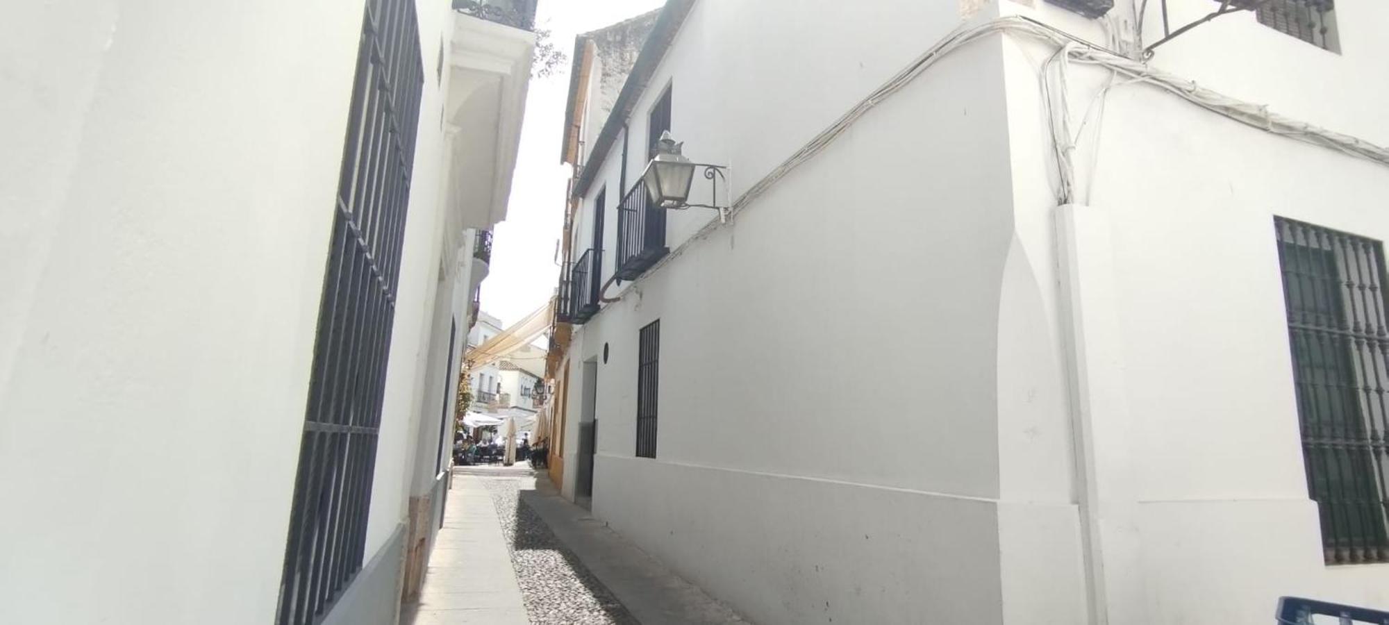 Zahra - Terraza Centro Cordoba Apartment Bagian luar foto