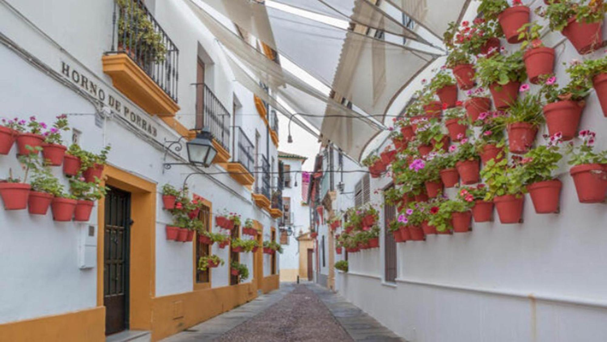Zahra - Terraza Centro Cordoba Apartment Bagian luar foto